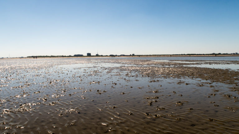 Nordsee Ebbe Und Flut Uhrzeit Cuxhaven