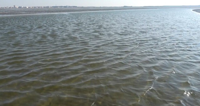 niedrigwasser cuxhaven