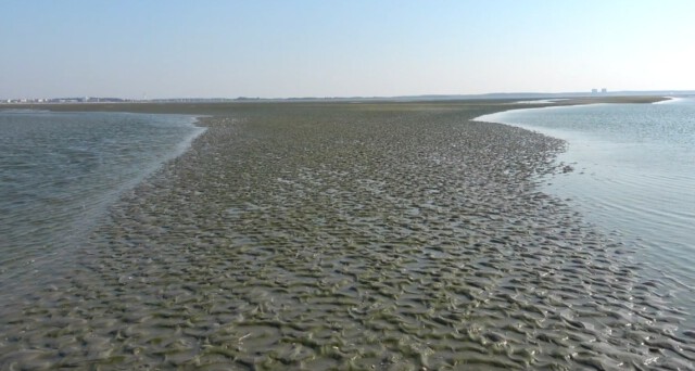 Niedrigwasser Cuxhaven