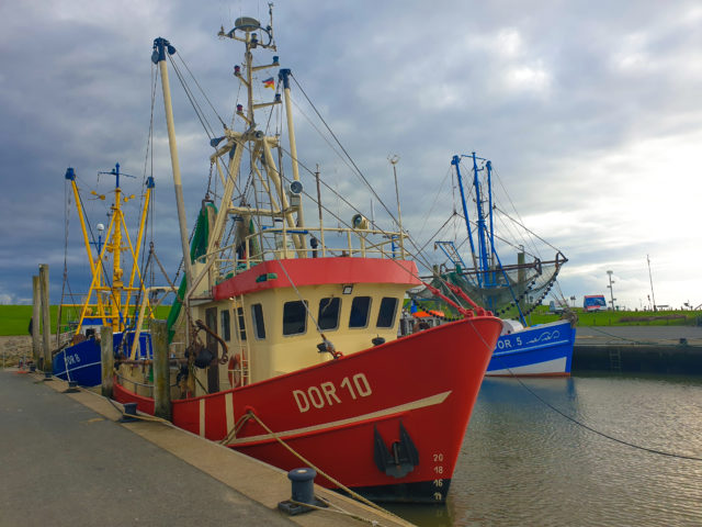 Krabbenfischer im Hafen von Dorum im Hafen Dorum-Neufeld