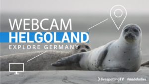 Webcam Helgoland – Live-Blick auf den Hafen von Helgoland