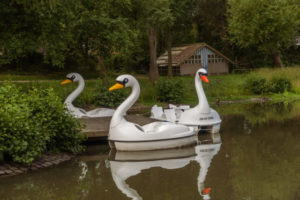 Kurpark Tretboot – Viel Spaß auf dem Wasser!